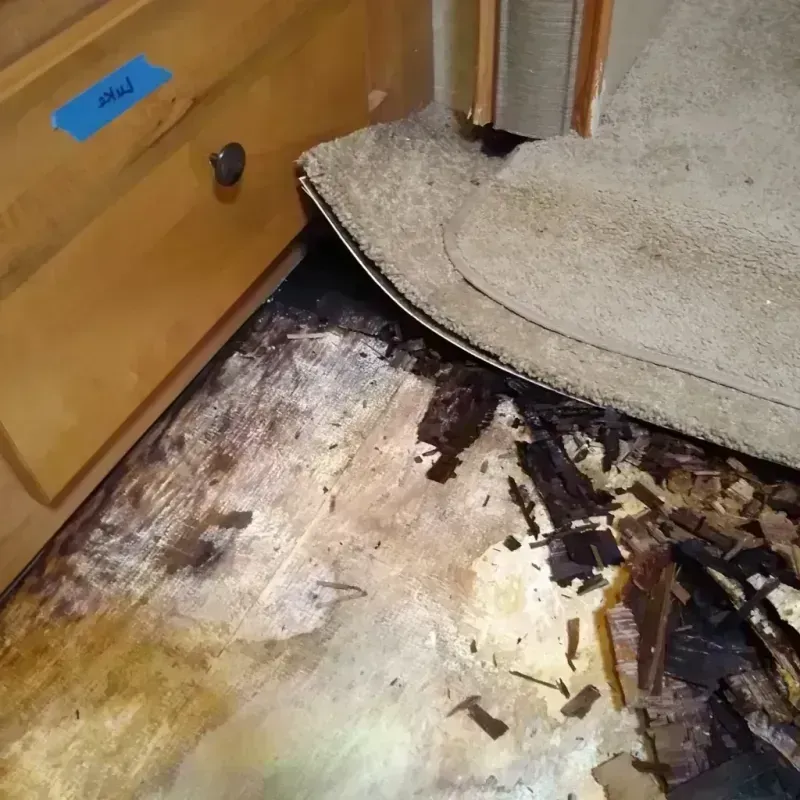 Wood Floor Water Damage in Prattville, AL